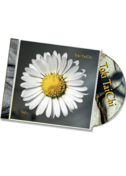 Toki TaiChi Vol.1